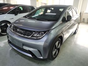 比亚迪 海豚 2023款 420km 时尚版