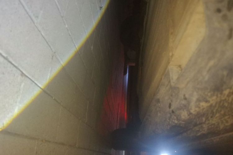 东风风行 风行T5 2022款 盛世款 1.6L 手动筑梦版五座局部细节9004