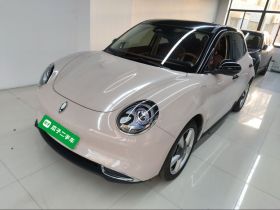 欧拉好猫 2021款 400km标准续航 维纳斯版 磷酸铁锂