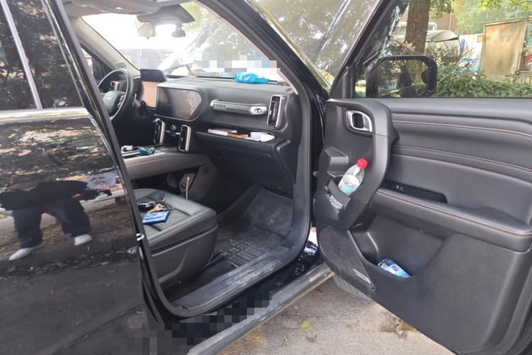 哈弗大狗 2024款 1.5T DCT边牧版局部细节9005