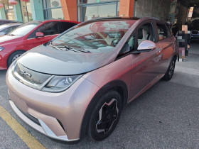 比亚迪 海豚 2021款 405km 时尚版