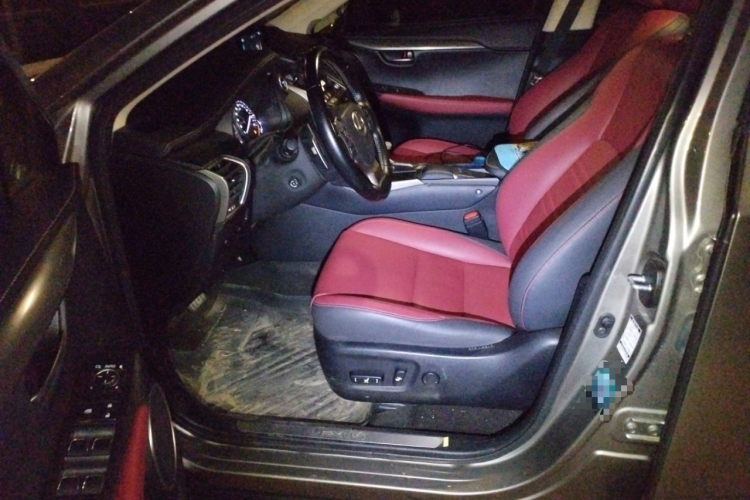 雷克萨斯NX 2020款 300h 前驱 锋尚版 国VI中控内饰19