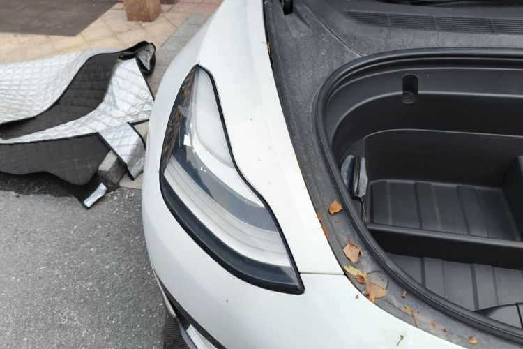 特斯拉 Model 3 2019款 标准续航后驱升级版车身外观8