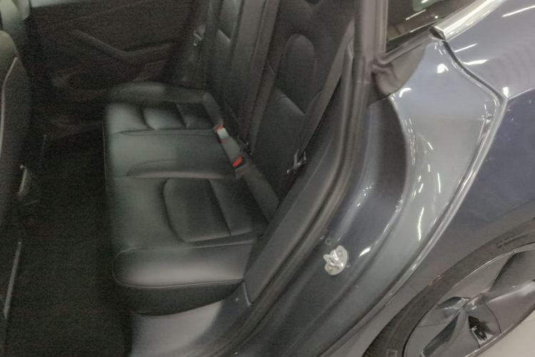 特斯拉 Model 3 2019款 标准续航后驱升级版中控内饰21