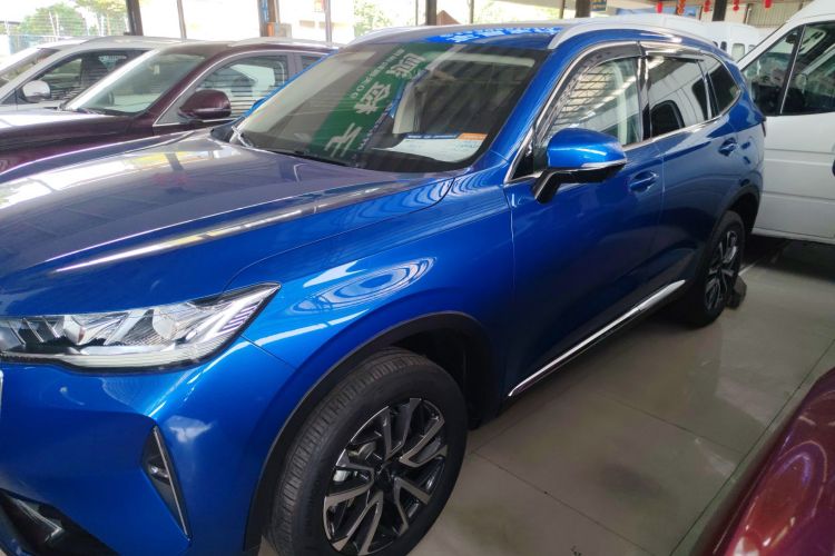 哈弗H6 2021款 第三代 1.5T 自动两驱Pro车身外观6003