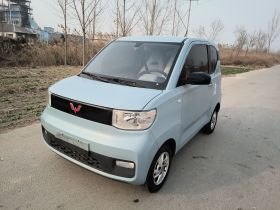 五菱汽车 宏光MINIEV 2020款 自在款 磷酸铁锂