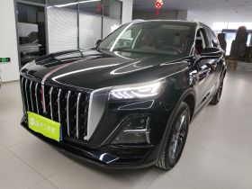 红旗HS5 2025款 2.0T 两驱旗享Pro版