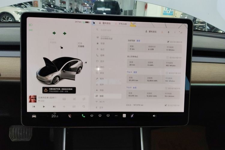 特斯拉 Model 3 2020款 标准续航后驱升级版中控内饰14