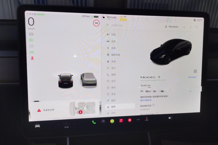 特斯拉 Model 3 2020款 改款 标准续航后驱升级版中控内饰14