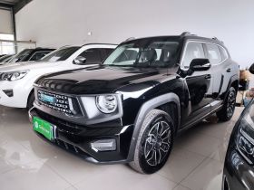 哈弗大狗 PLUS 新能源 2023款 DHT-PHEV 105km 潮电版Plus