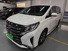 广汽传祺 传祺M8 2024款 领秀系列 390T 豪华版