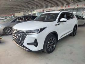 奇瑞 瑞虎8 PRO 2022款 290T 两驱风暴版 5座