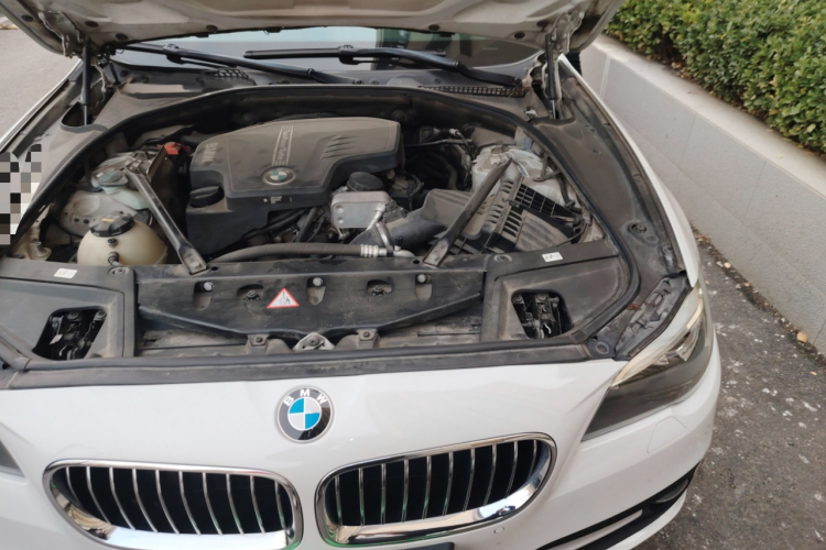 宝马5系 2014款 525Li 领先型局部细节9007