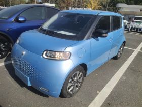 欧拉白猫 2020款 401km 旗舰型