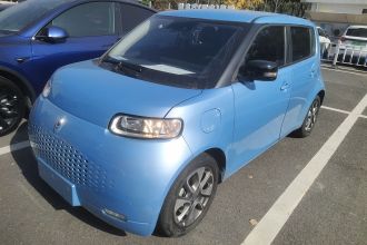 欧拉白猫 2020款 401km 旗舰型