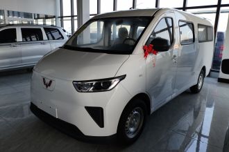 五菱汽车 五菱扬光 2024款 300KM 舒适型客车版 75kW