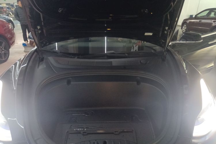 特斯拉 Model 3(进口) 2019款 长续航全轮驱动版局部细节24