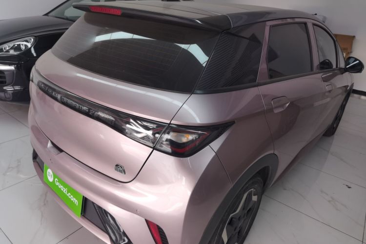 比亚迪 海豚 2021款 405km 时尚版车身外观6005