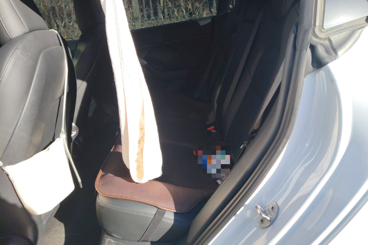 特斯拉 Model 3 2022款 后轮驱动版中控内饰21