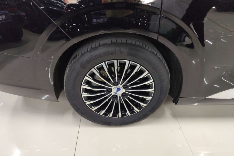 腾势D9 2024款 DM-i 1050 尊享型车身外观6008