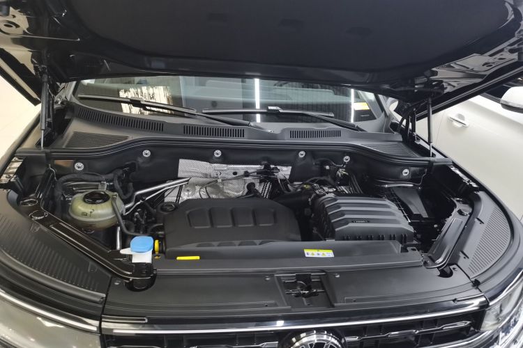 大众 揽巡 2023款 330TSI 豪华巡逸版机舱底盘24