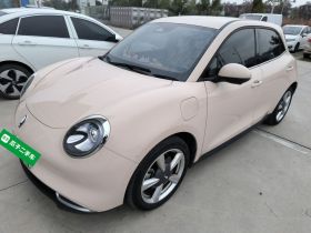 欧拉好猫 2023款 401km标准续航 豪华型 磷酸铁锂