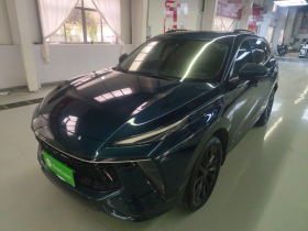 东风风行 风行T5 EVO 2021款 1.5TD DCT钻石版