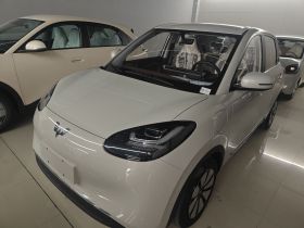 五菱汽车 五菱缤果 2024款 333km 悦享款