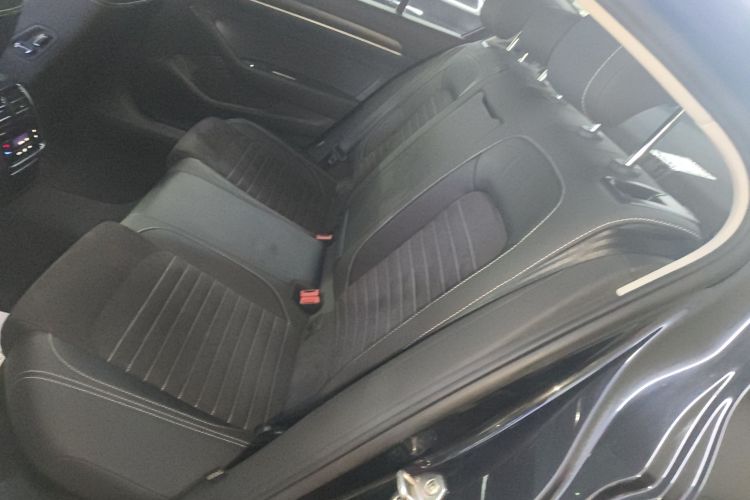 大众 迈腾 2020款 330TSI DSG 豪华型中控内饰7002