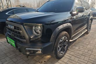 哈弗大狗 2024款 2.0T DCT中华田园犬版