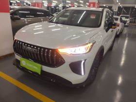 哈弗赤兔 2023款 1.5T 动感型