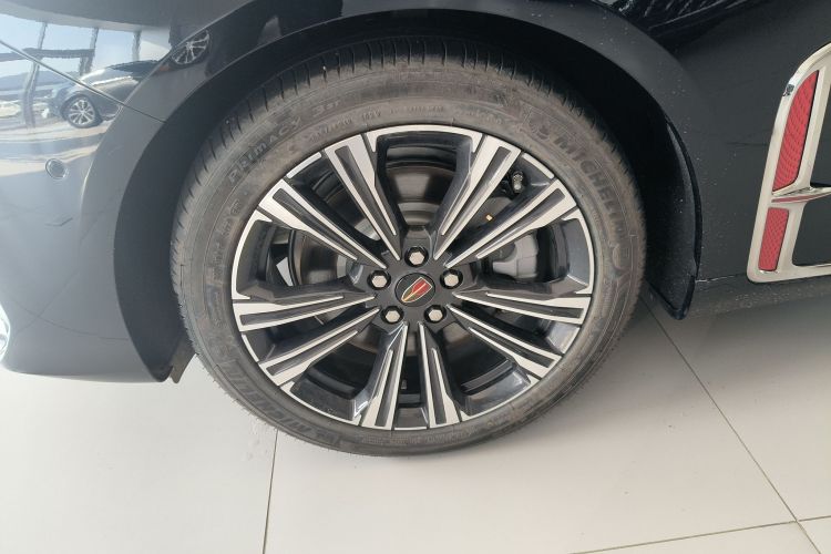 红旗H9 2024款 2.0T 旗畅 私享风尚版车身外观6007