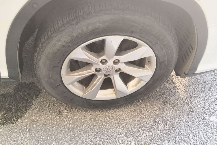 雷克萨斯RX 2016款 300 两驱精英版 国V车身外观10