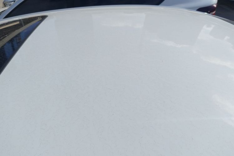 别克 威朗 2019款 三厢 15S 自动领先型局部细节57