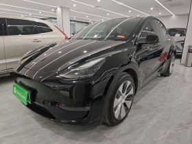 特斯拉 Model Y 2021款 标准续航后驱版
