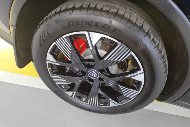 比亚迪 唐新能源 2024款 DM-p 荣耀版 215KM 四驱尊享型车身外观6002