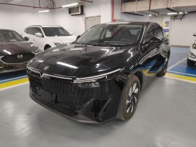 启辰大V DD-i 2023款 110km iE版