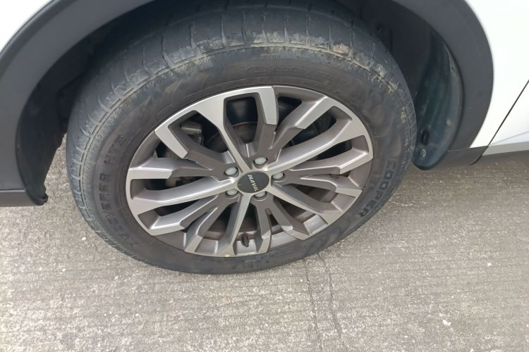 哈弗H6 2020款 1.5GDIT 自动铂金冠军版车身外观6007