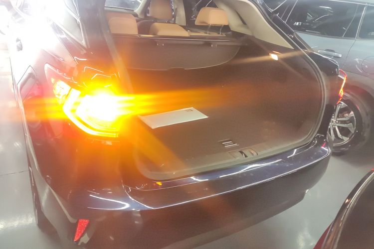 雷克萨斯RX 2016款 300 四驱典雅版 国V局部细节23