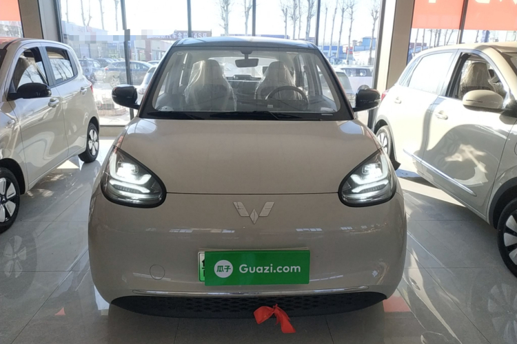 五菱汽车 五菱缤果 2024款 333km 悦享款车身外观6001