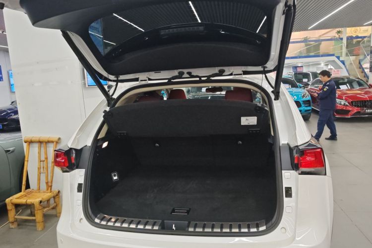 雷克萨斯NX 2020款 200 前驱 锋行版 国VI机舱底盘23