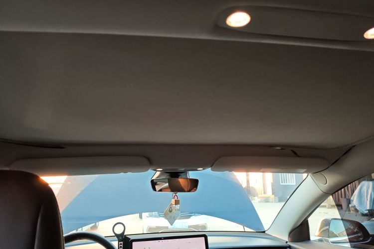 特斯拉 Model 3(进口) 2019款 长续航全轮驱动版中控内饰22