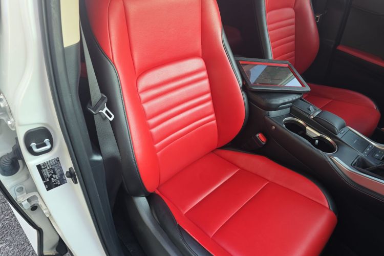 雷克萨斯NX 2020款 200 前驱 锋行版 国VI局部细节41