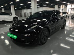 特斯拉 Model 3 2022款 后轮驱动版