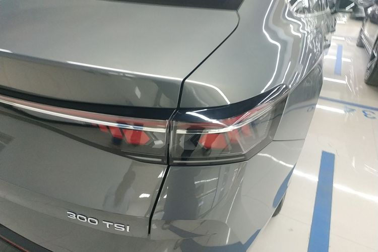 大众 迈腾 2024款  300TSI DSG尊享版显眼包车身外观9