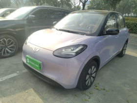 五菱汽车 五菱缤果 2025款 333km 悦享款