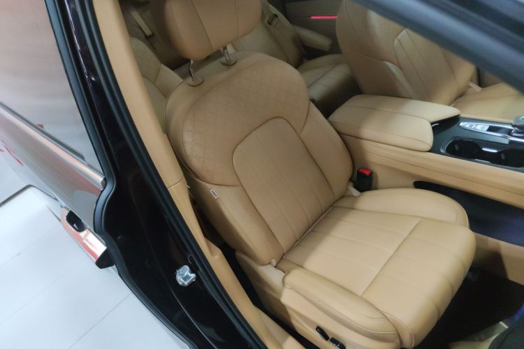 岚图汽车 岚图梦想家 2022款 低碳版 想+智驾包局部细节41