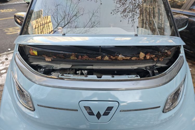 五菱汽车 五菱NanoEV 2021款 玩乐款局部细节24