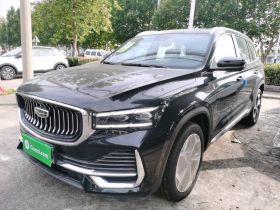 吉利汽车 星越L 2024款 2.0TD DCT EVO两驱长风版