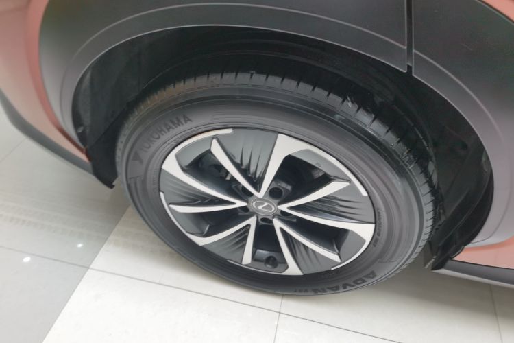 雷克萨斯RZ 2023款 450e 四驱纵享版车身外观6008